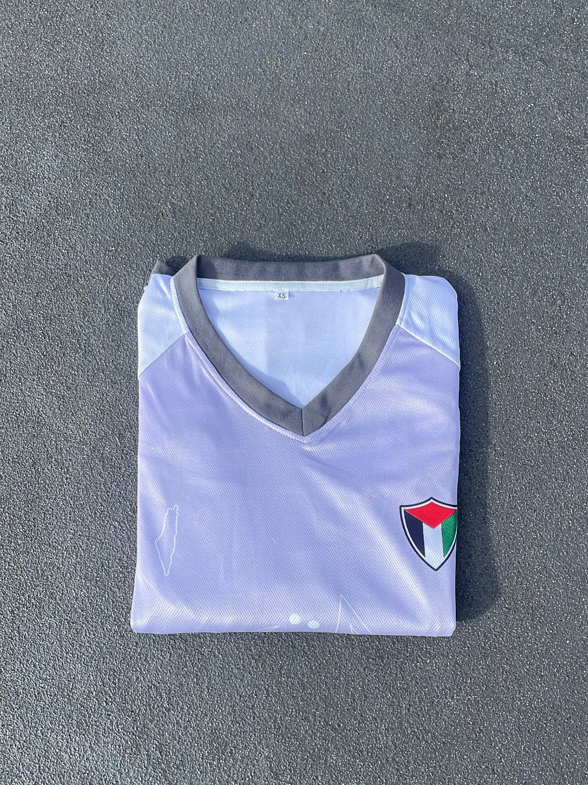 Palestine long sleeve jersey