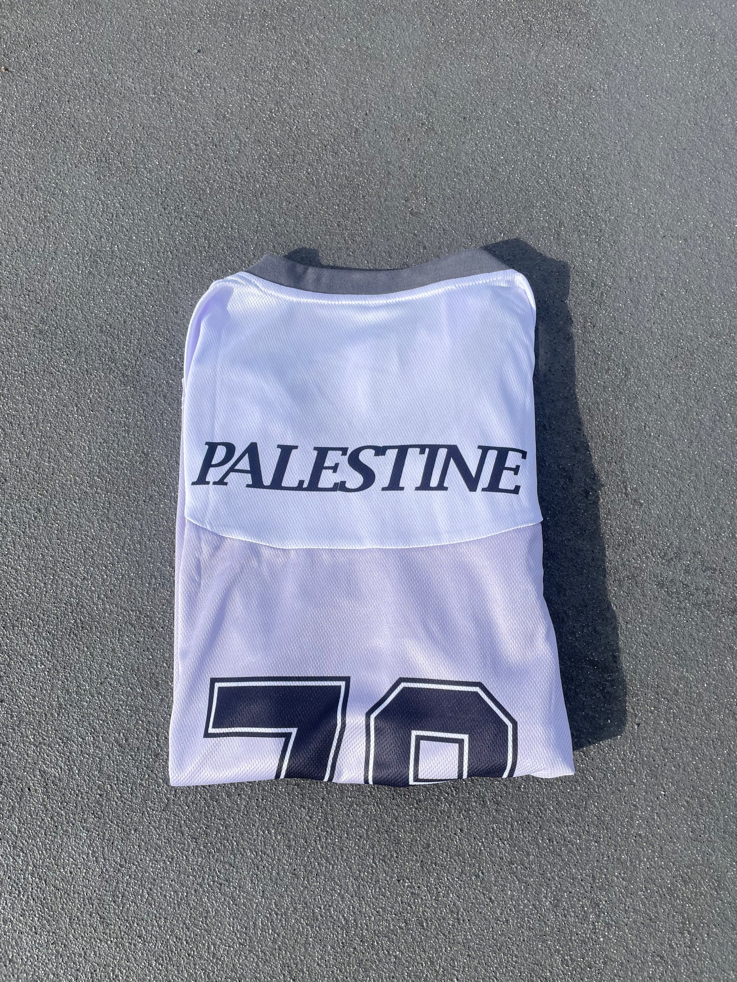 Palestine long sleeve jersey